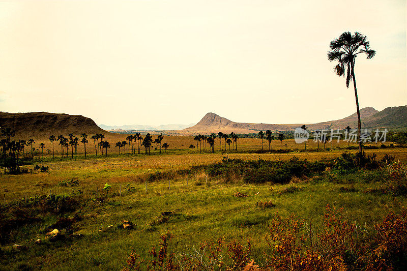 景观，Chapada dos Veadeiros, Goias，巴西